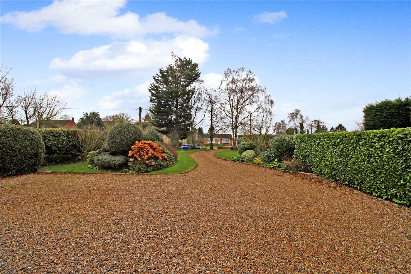 Driveway